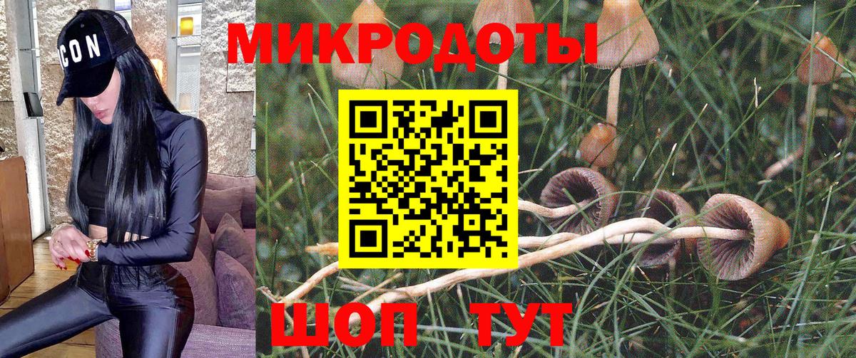 Галлюциногенные грибы Psilocybe Мариинск